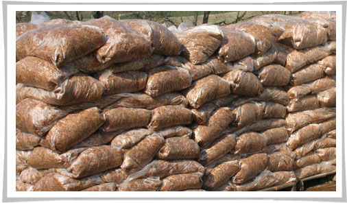Cedar Mulch, Cedar Shavings