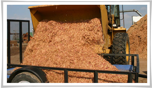 Cedar Mulch, Cedar Shavings