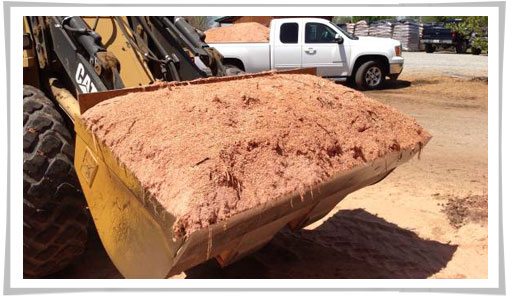 Cedar Mulch, Cedar Shavings